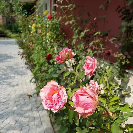 Apartmán Mellia 4